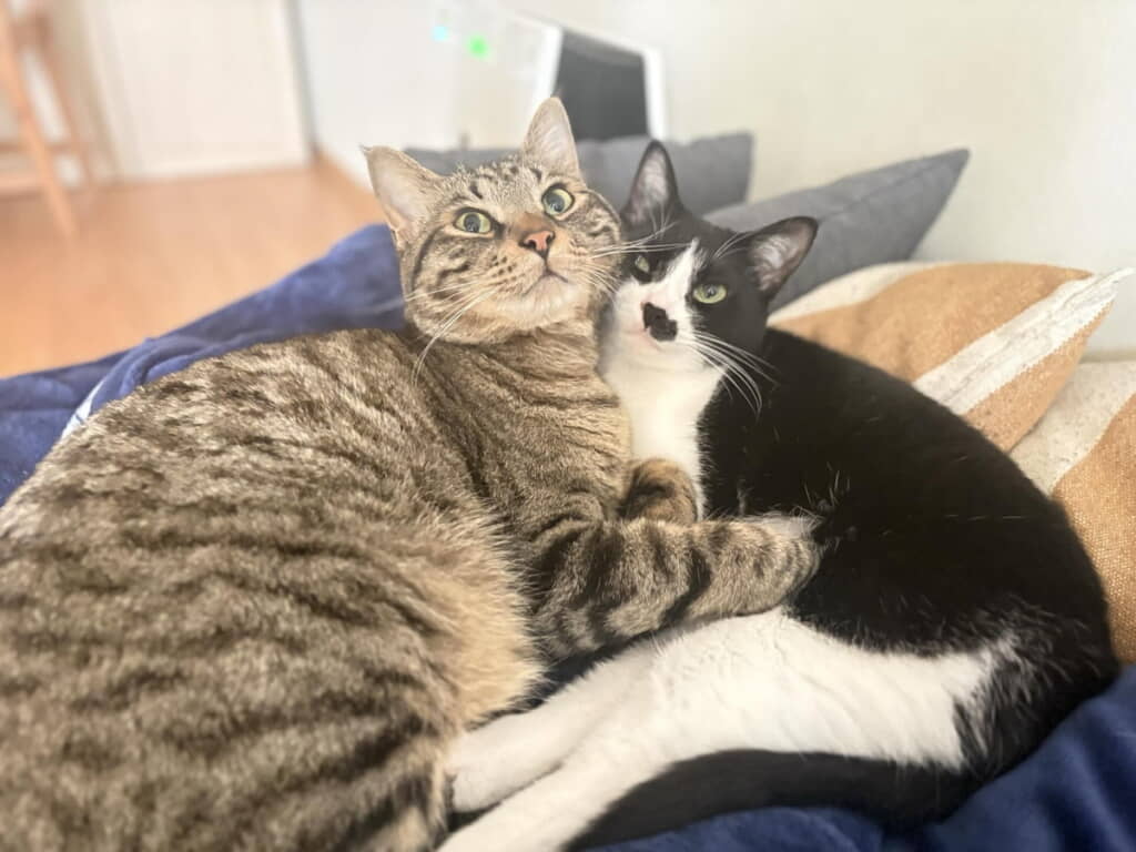 仲良し～！
