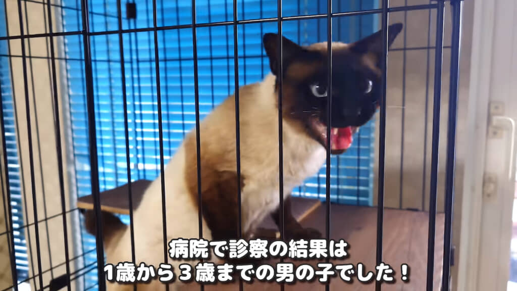 幸(コウ)と命名
