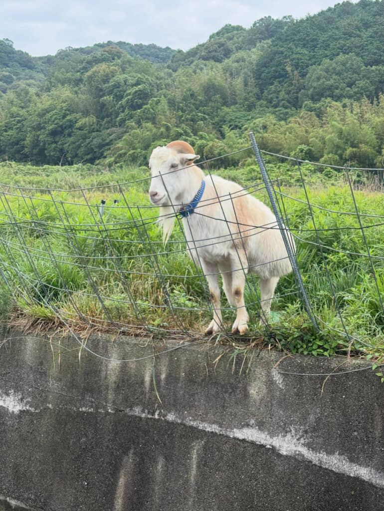 やる気が感じられないたたずまい