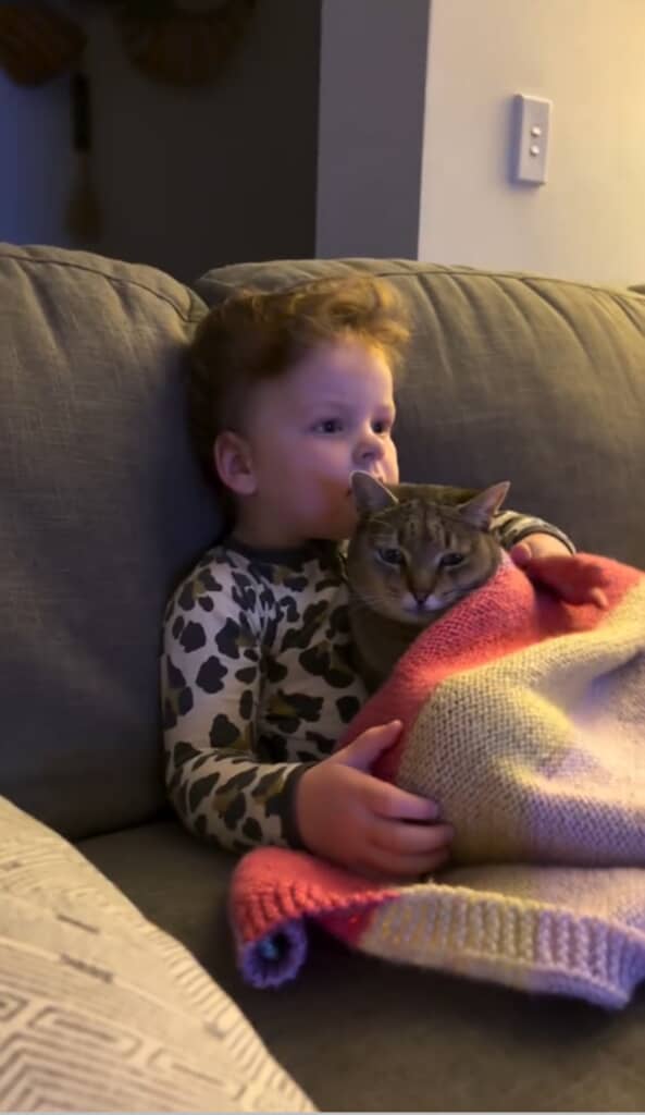 息子くんと猫が一緒にソファに