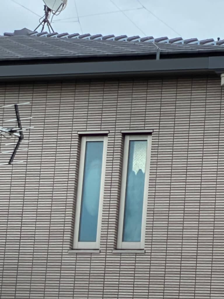 うっすらわかるシロクマの鼻とサメのお腹