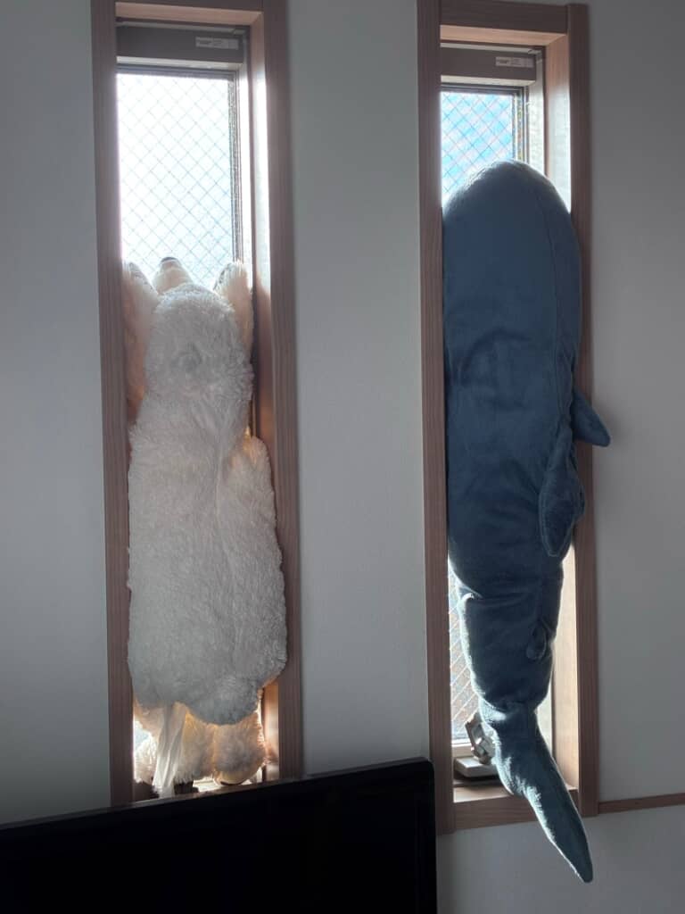 この日の2匹は外を向いていました