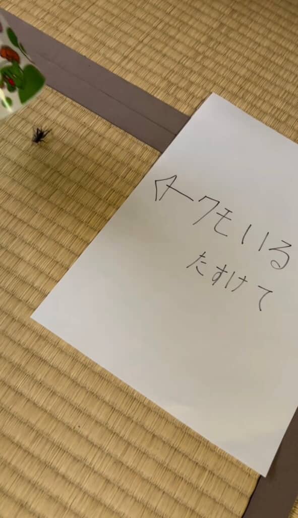 クモがいるという置き手紙