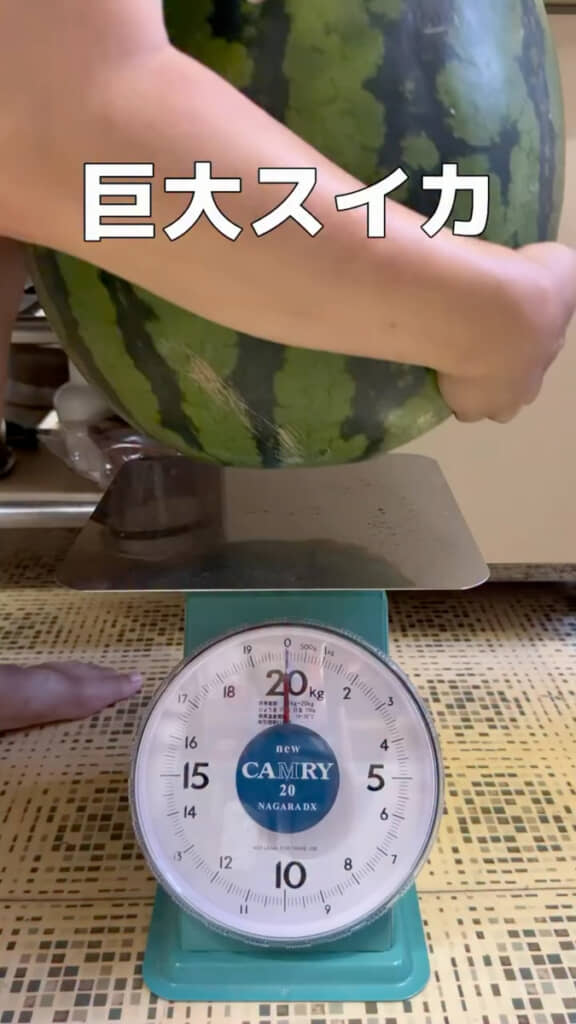 大玉スイカをゲット