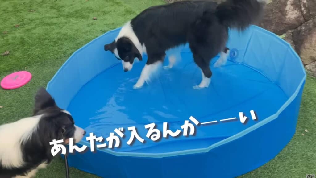 メルちゃんに新しいプールをプレゼントしたら……