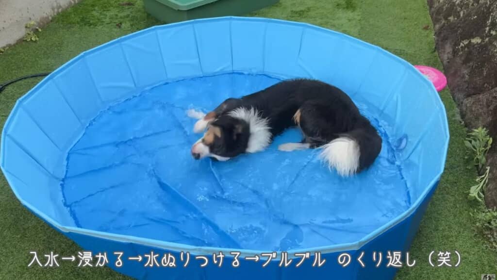 クセの強い水遊びをするメルちゃん