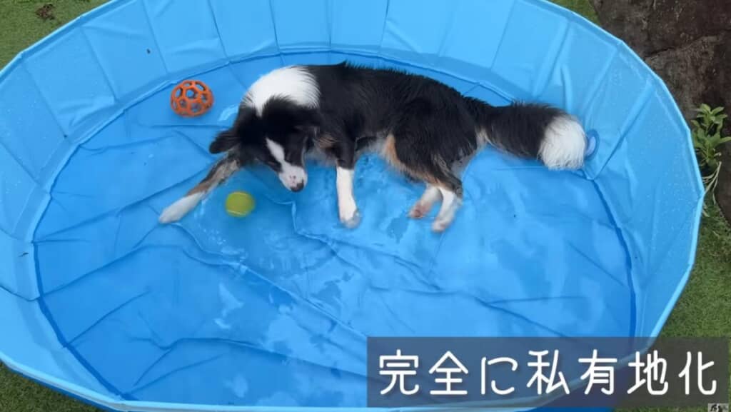 新しいプールを完全に私有地化
