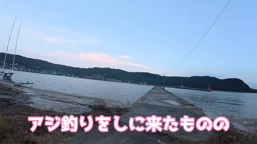 こっちゃんさんがアジを釣りにきましたが……