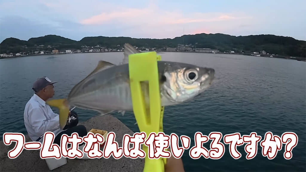 アジをゲット！