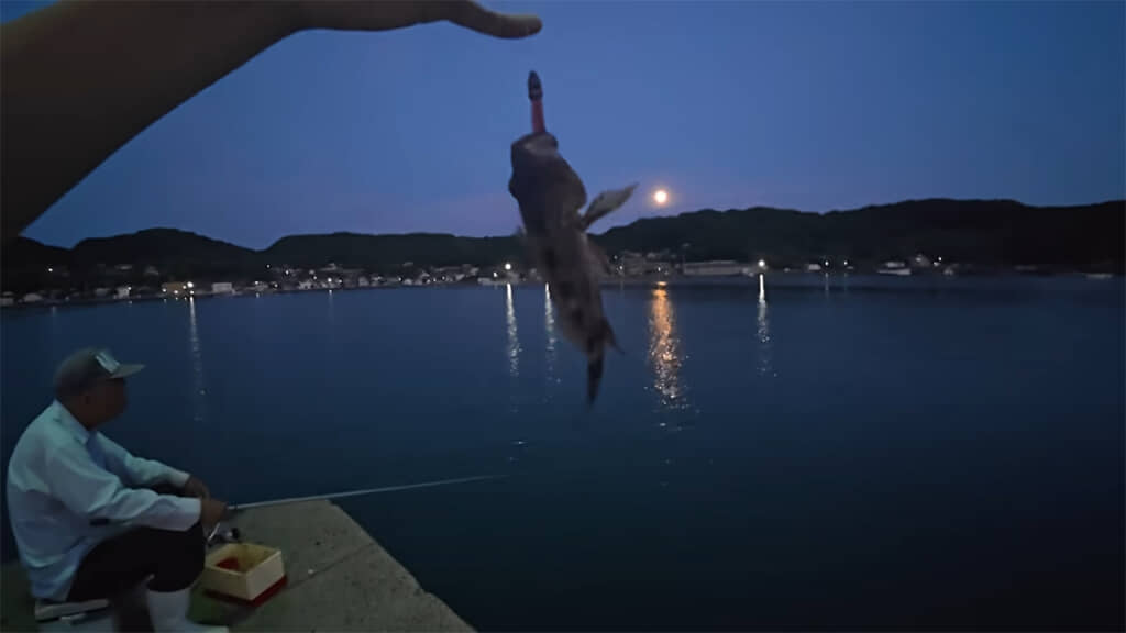 なんとかアラカブが釣れました