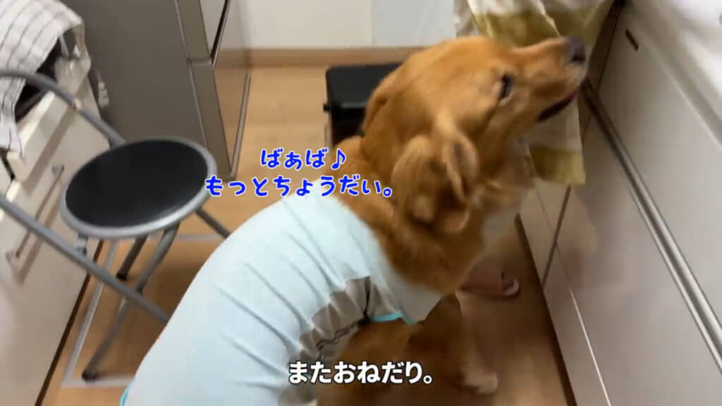 おねだりの姿まで人間の孫そのもの!
