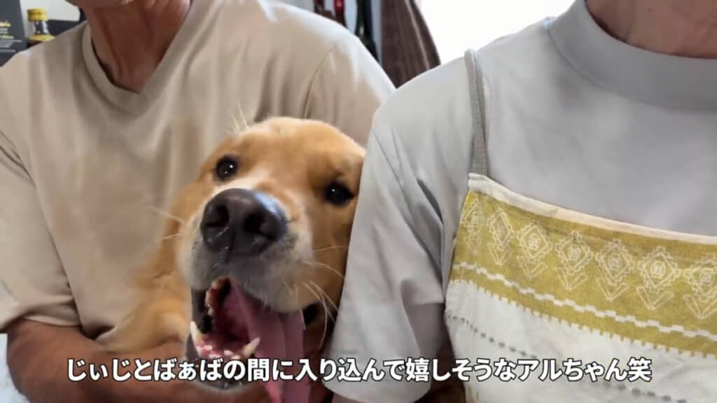 大好きな2人の間からひょっこり!