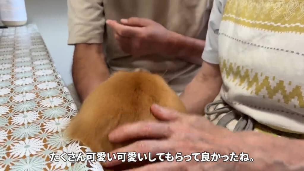 いとおしげにアルちゃんをたくさん撫でてくれたじぃじとばぁば