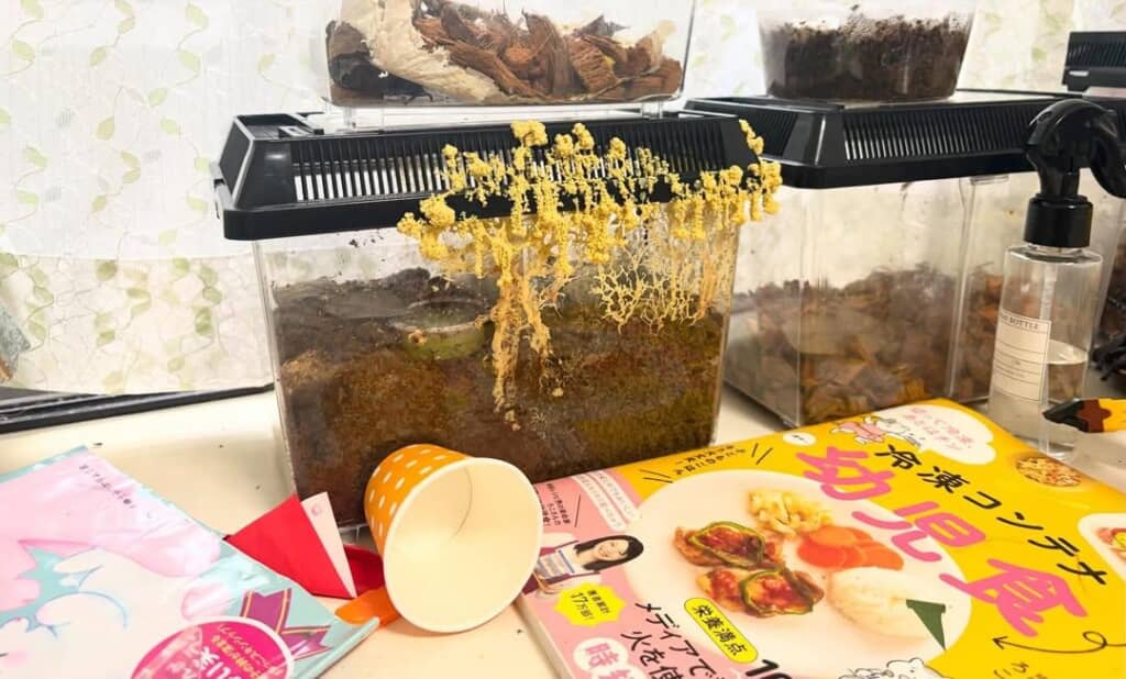 ケースの外へ出てきた黄色いスポンジ状の物体