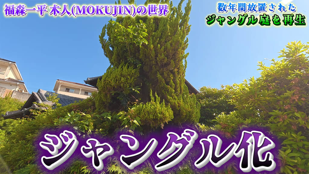 ジャングル化してしまった庭を再生していきます