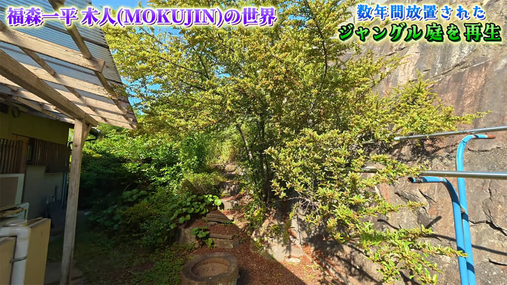 丘のようなエリアもジャングル化していました