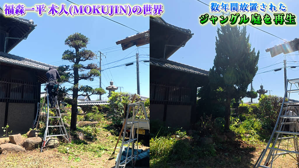 左が作業後、右が作業前。黙々と作業を行います