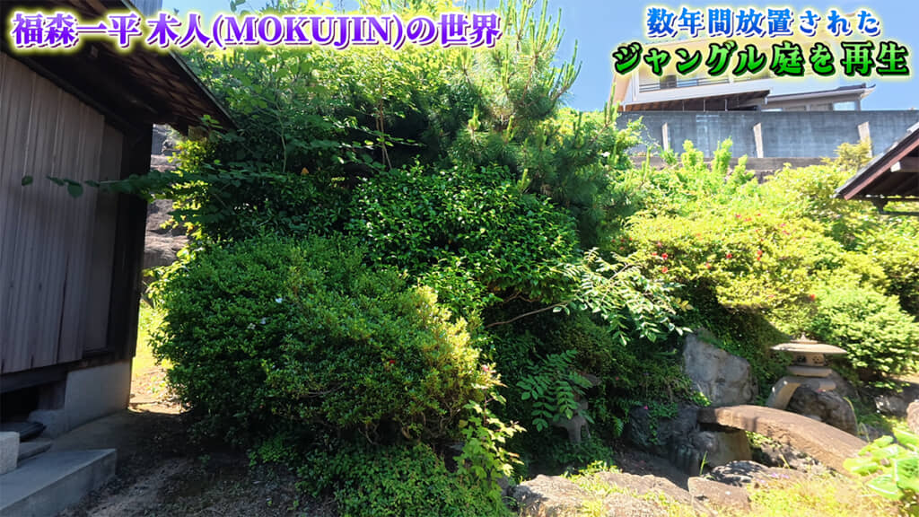 松があるエリアは森のようになっていました