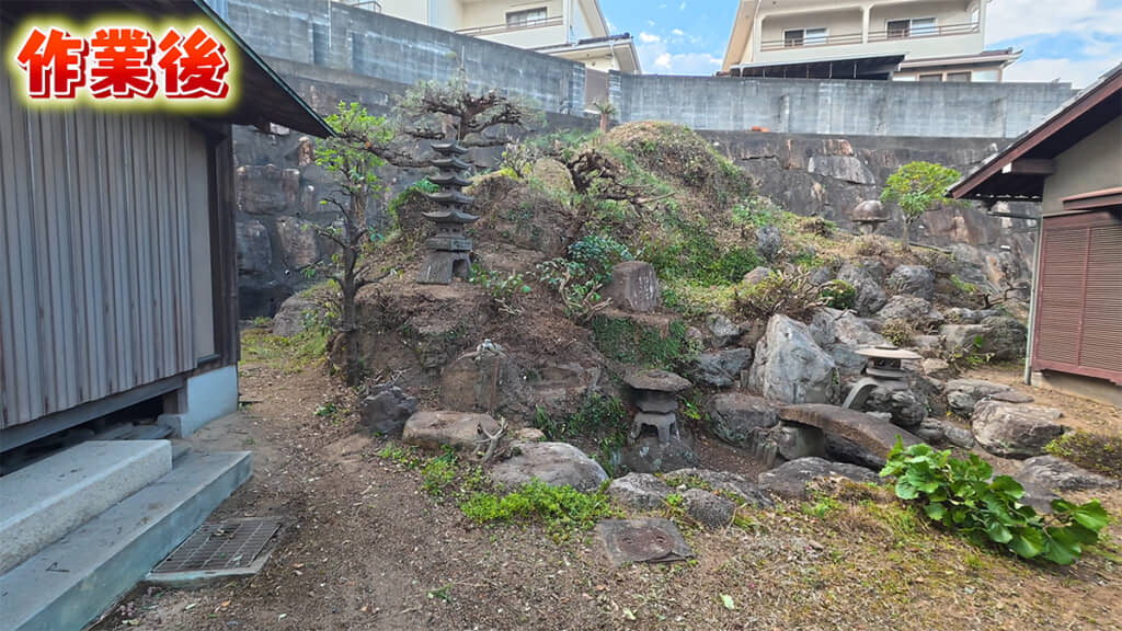 松のあるエリアの作業後、松の成長も楽しみですね