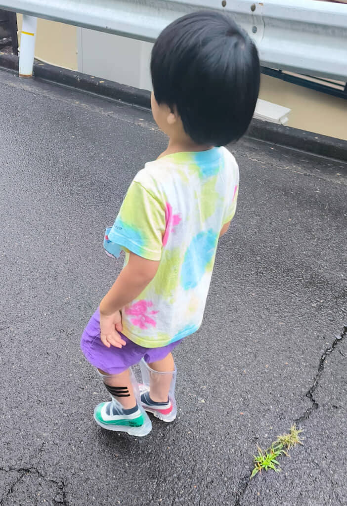 上履きに見える靴下だった