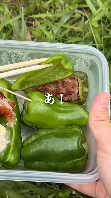 蓋を開けたらピーマンの肉詰め