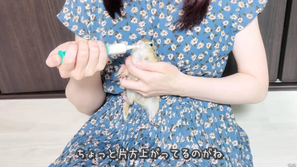 詫びミルク