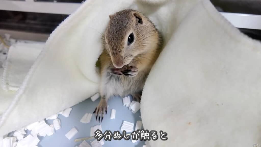 またまた警戒モード