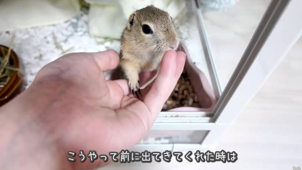 自分から前にくることも