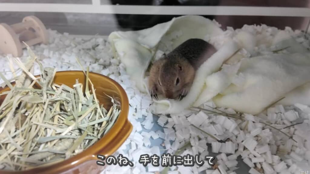 翌日も確かめると……