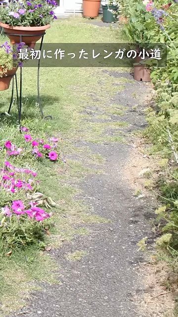 ここから庭作りが始まりました