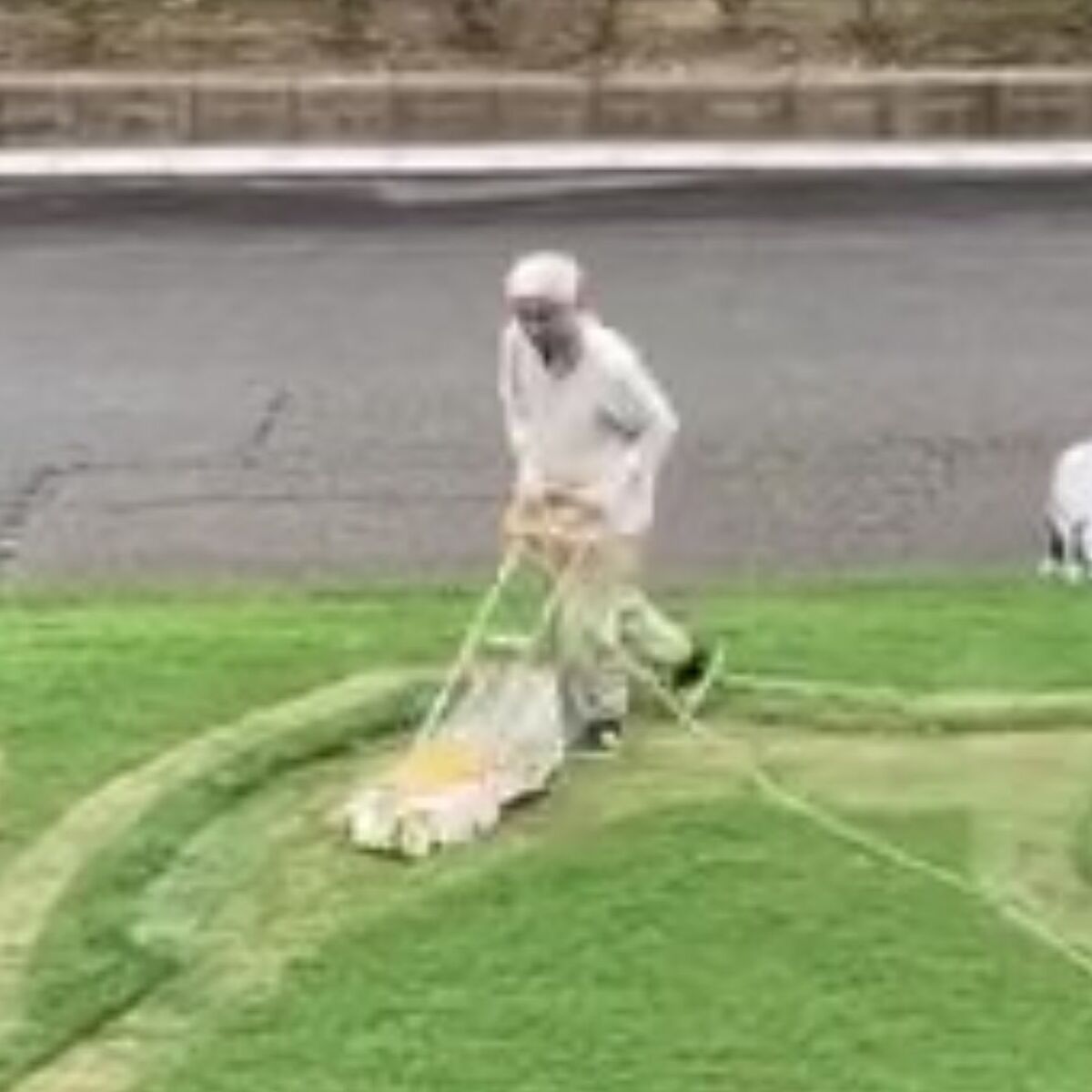 71歳父に庭の芝刈りを任せたら→4時間後…… 目を疑う光景が80万表示「只者じゃない」「お父さん貸して下さい」 | ライフスタイル ねとらぼ