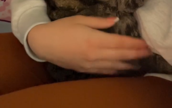 新婚旅行から帰宅→久しぶりに愛猫を抱っこした瞬間……「うわあああ！」　860万再生の姿に「赤ちゃんじゃん」【海外】（1/2） | 猫 ねとらぼ