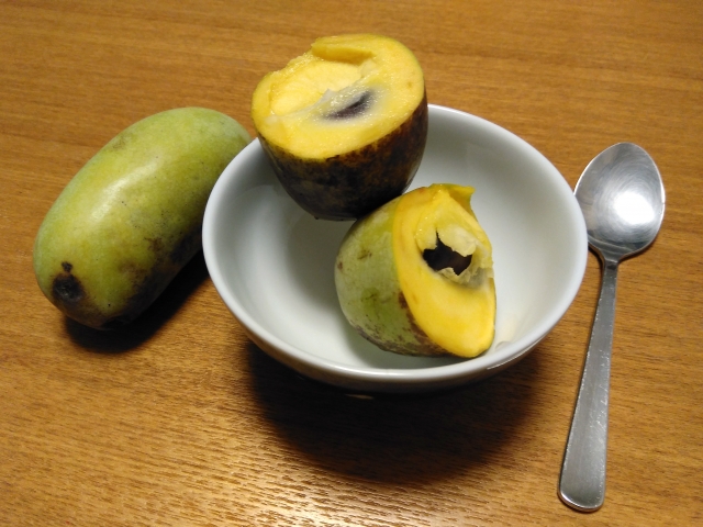 食べてもなお、ポポーの味は謎のまま