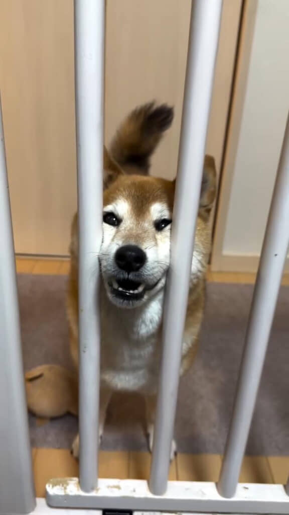 しばらく粘った結果……
