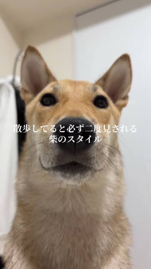 ドアップりりちゃん