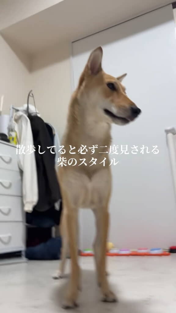 足、長!