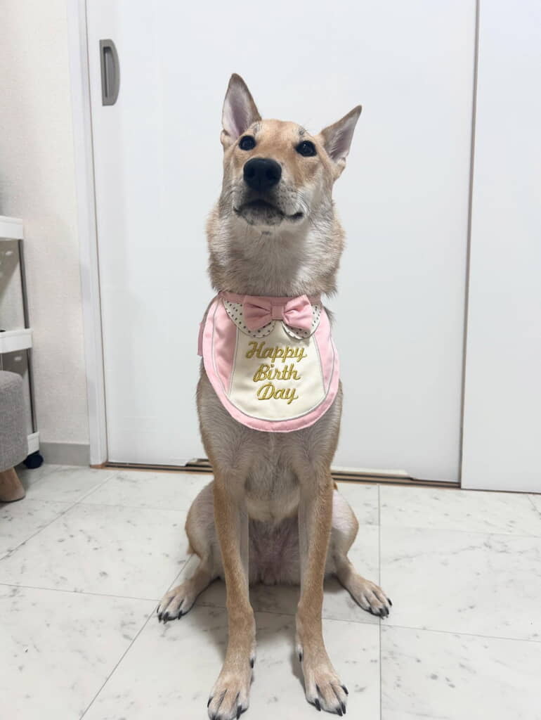1歳のお誕生日のスタイルかわいい!