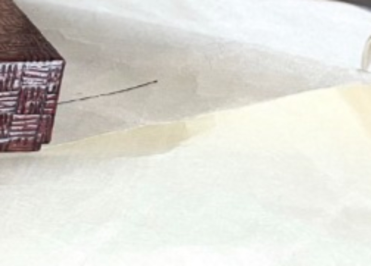 義母からもらった“大量の包み”→開けてみると……「ありがたぁーーいっ!!」 驚きの中身に「わー!! すごい」「最高のお土産ですね」(1/2) | ファッション ねとらぼ