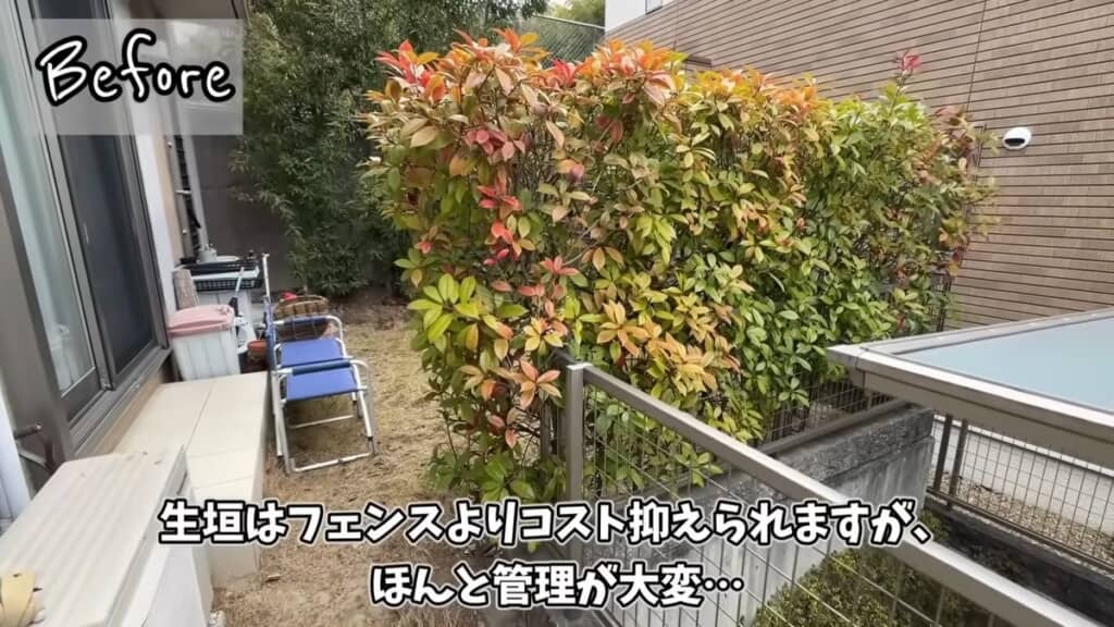 手前にはレッドロビン、奥にはカシの生け垣があるリフォーム前の庭