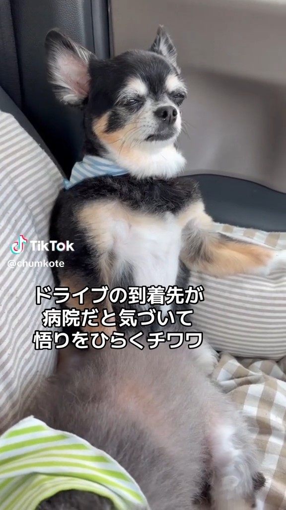 フリーズ状態……