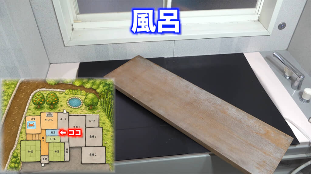浴槽の中にはどんな魚がいるのでしょうか