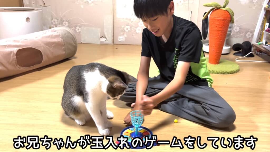 お兄ちゃんのボール遊びに興味津々
