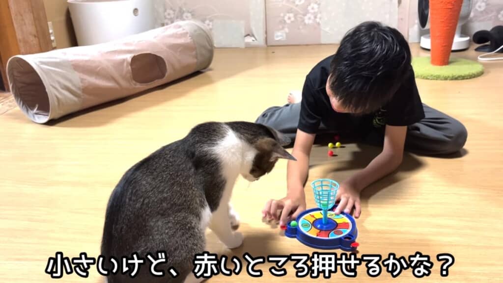 お兄ちゃんが優しく教えてくれます