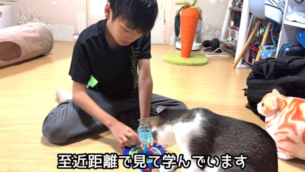 めげない琥太郎くん