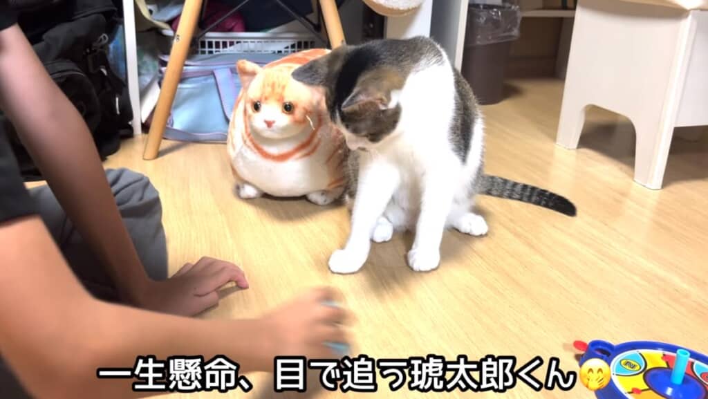 違う遊びを発見!