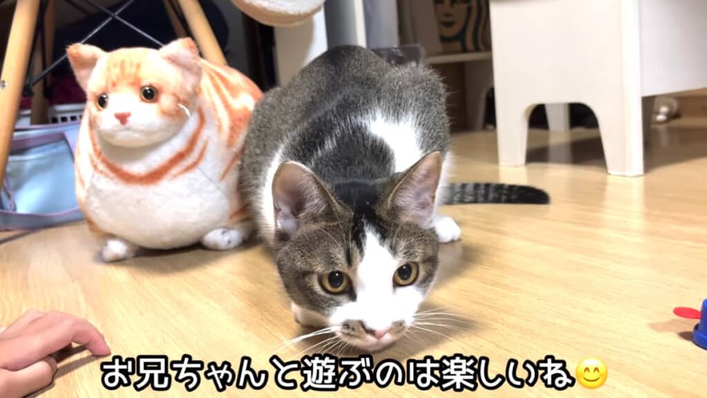 お兄ちゃんといっぱい遊べてよかったね!