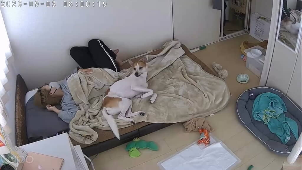 アラームが鳴り始めたようです