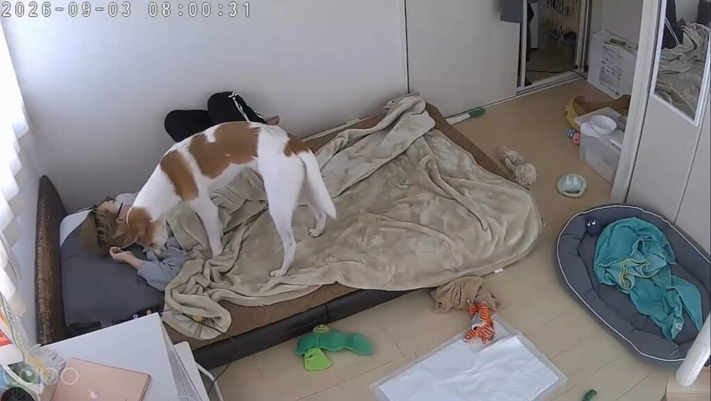 そしてスマートフォンをじっと見つめ……