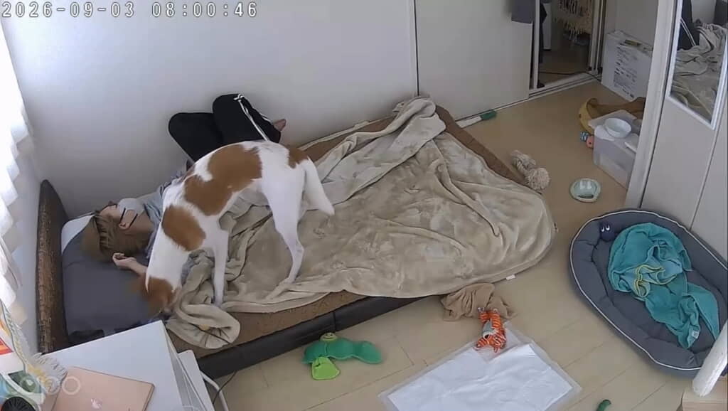 鼻をキュキュッと動かして