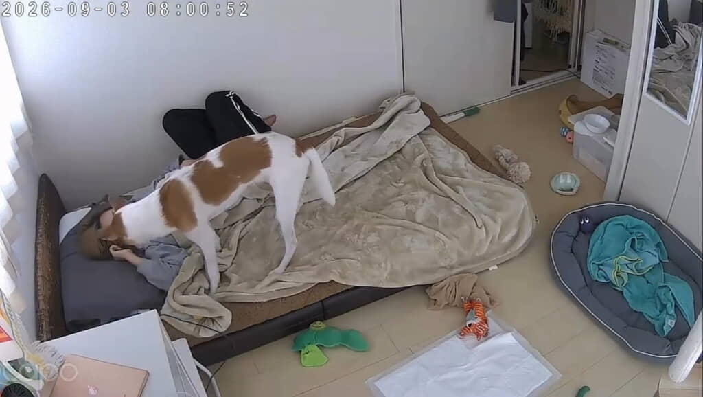 アラームを止めてしましました!
